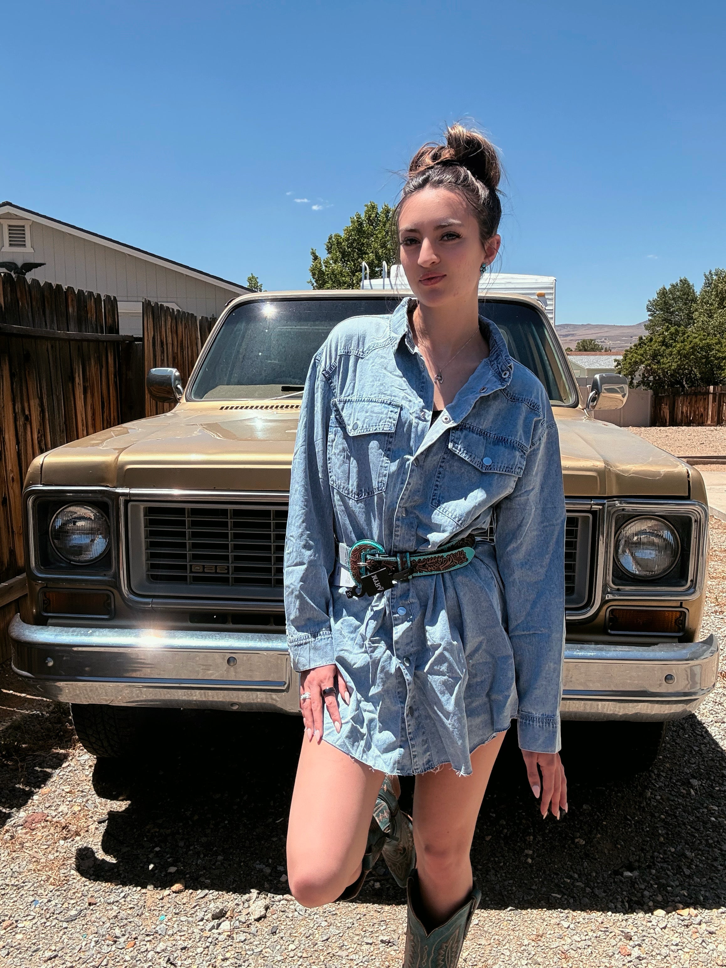 Denim Print Dress